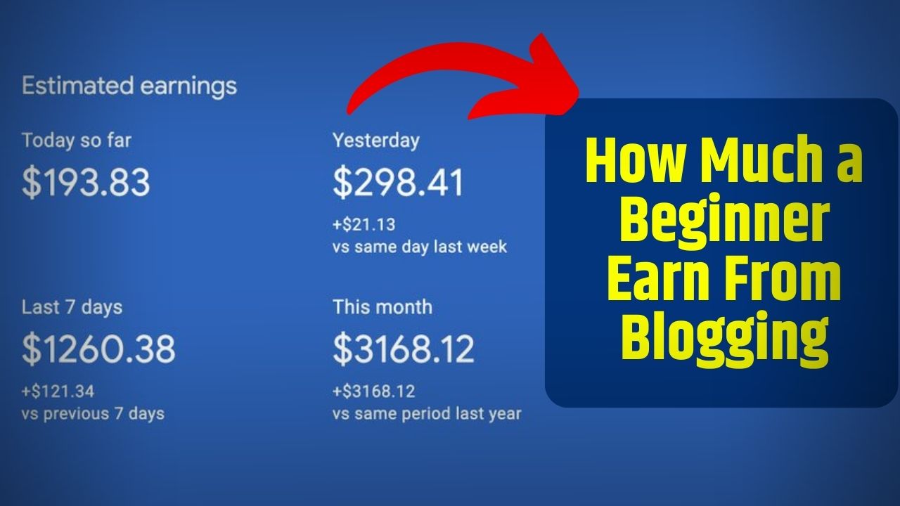 How Much a Beginner Earn From Blogging